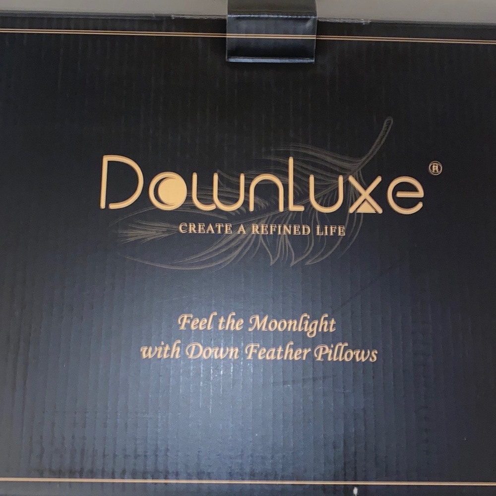 Downluxe Goose Feather Down Pillow 20" x 28" Queen - Picture 4 of 12